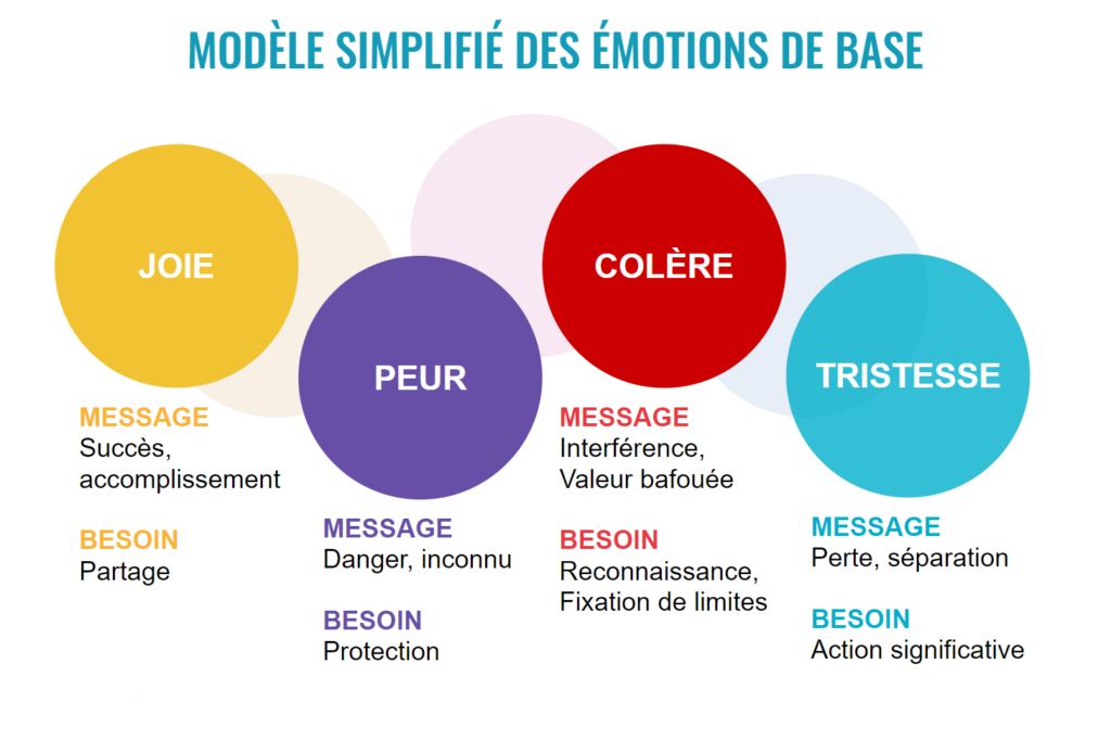 modèle simplifié des émotions de base